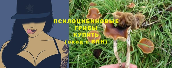 мескалин Алексеевка